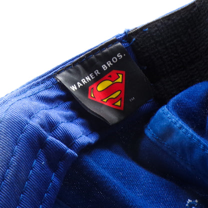 Blue Warner Bros. Superman Flexfit Embroidered Baseball Hat