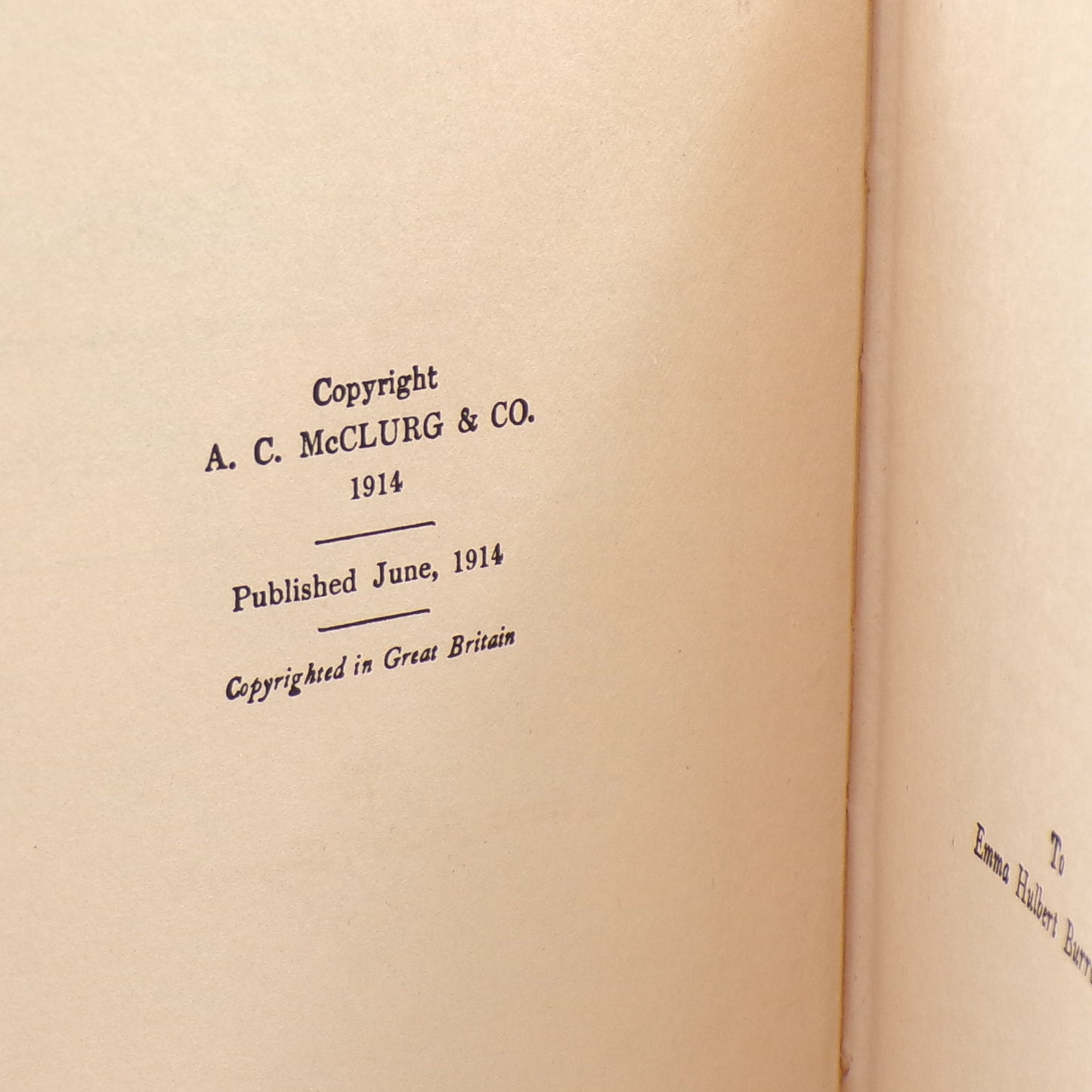 1914 Tarzan of the Apes Edgar Burroughs A.L. Burt Hardcover 1st Print/Edition