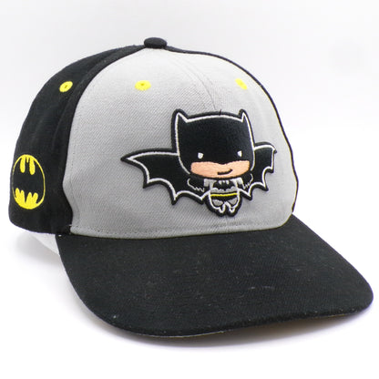 Lids Exclusive DC Batman Premium Adjustable Collectible Hat New