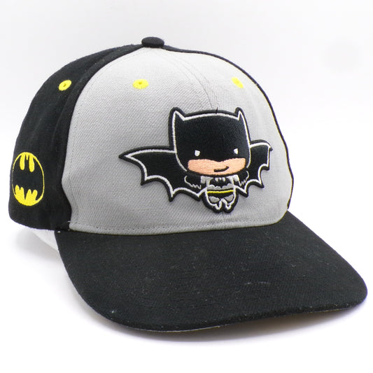 Lids Exclusive DC Batman Premium Adjustable Collectible Hat New