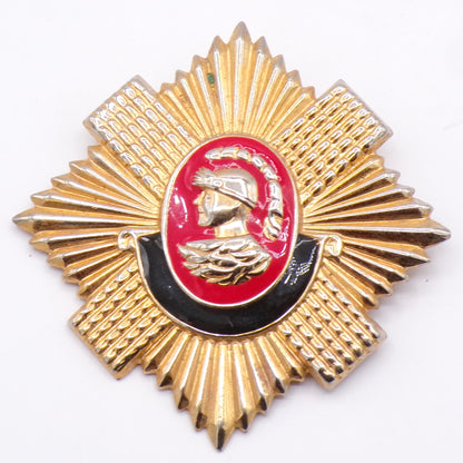Vintage Gold Enamel The Royal Scots Badge Pin