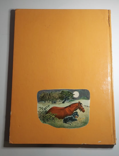 Vintage 1949 Black Beauty Anna Sewell Illustrated Hardcover Random House